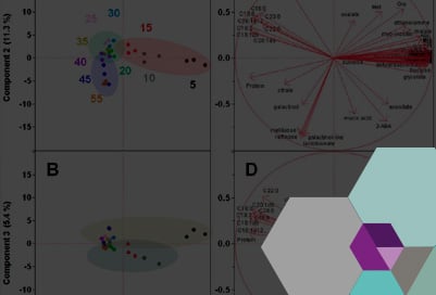 sinnetic-analítica-sensorial-y-diseño-de-sabores-1